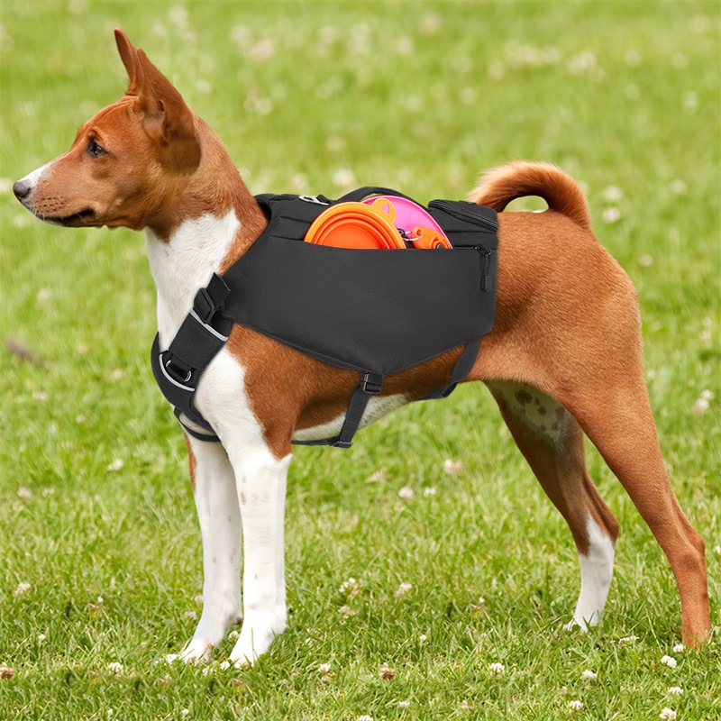 O1CN01MIgCZQ1M97tlgi5h5_!!973531391-0-cib.jpg?__r__=1721371324735