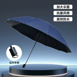 晴雨伞;遮阳/太阳伞;雨伞