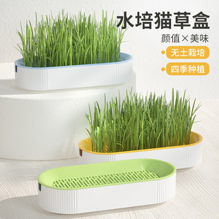 New Hydroponic Cat Grass Box Cat Snacks Catnip Hydroponic Soilless Planting Cat Grass Pot Set Cat Grass Box Wholesale