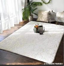 家用卧室床边小兔毛烫金地毯房间客厅大理石纹理吸水脚垫毛绒地毯