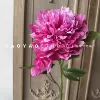 2 spring peony