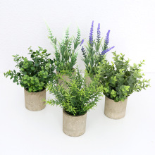 Rd]؛Դ͹ż{GֲСbƷٻֲ辰[