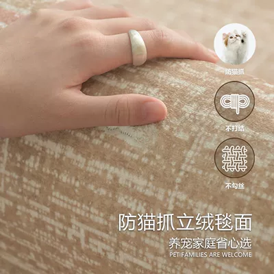 2025 New Model Living Room Car Carpet