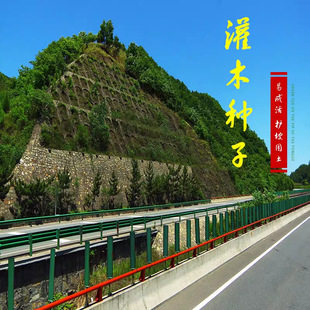 ���羳��؛���ļ������ľ�����o�¹���߅�����뻱�̻���·�G���V