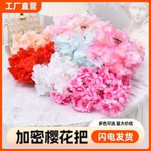����ѻ�֦�ѻ��������һ��廨��c����b��҃ȼҾ�����[���[�O