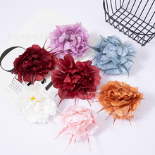 ����12cm����ĵ������ͷ��Χ��ͷ�μҾӿ����ڼ�������߻������