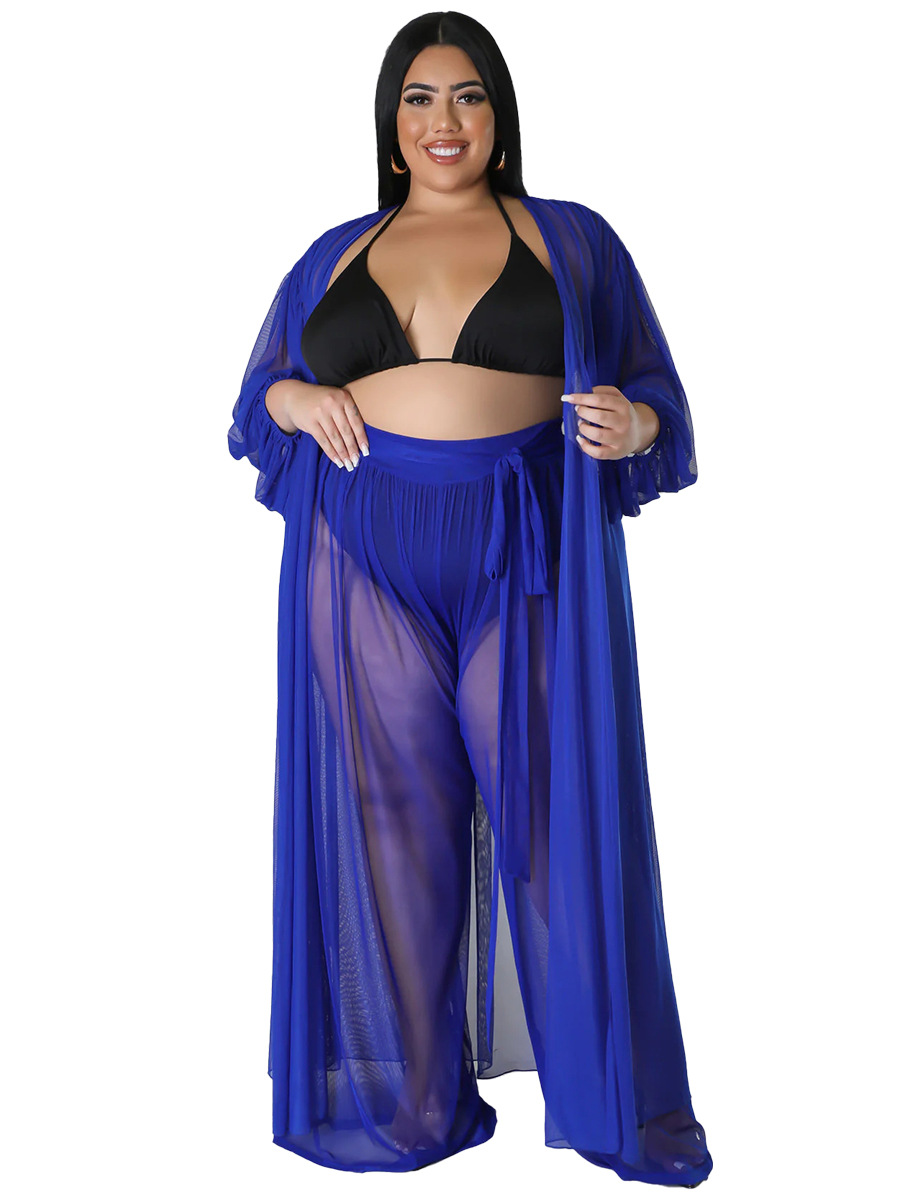 Women's plus Size Batwing Sleeve Two Piece Set European American Style Solid Color See through Long Sleeve Sexy Pants_voghion.com