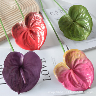 ���滨3D��֧�t�ƻ��Z�� ����ֲ���c���Ļ�Y�b� �S�����l�ٻ�