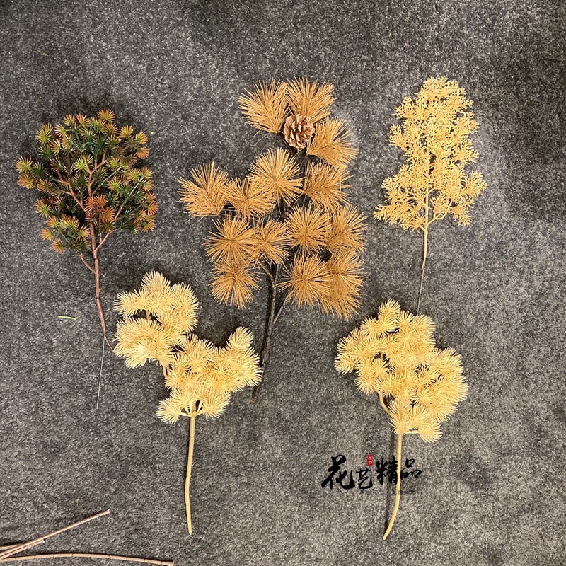 木色原色白色香槟色崖柏松绢花树叶五针松美人松带果田园蓬莱松