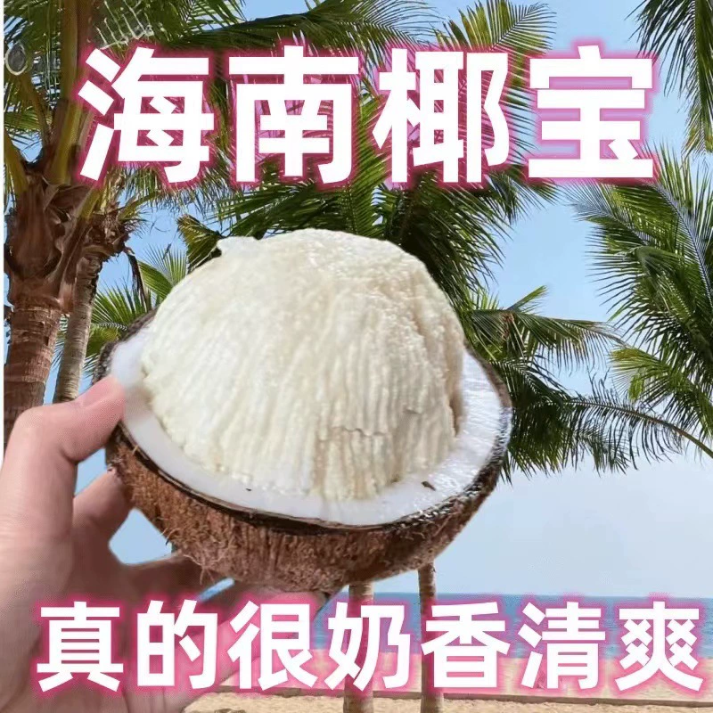 Хайнаньское кокосовое сердце, кокосовое сокровище, проросший кокос, королевское кокосовое молоко, кокосовое молоко, старый кокос, кокосовая чашка, суп «Морской король», упаковка для беременных женщин