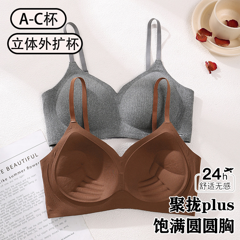 2025秋冬新款内衣女小胸聚拢显大提拉防下垂上托收副乳无痕文胸罩|undefined