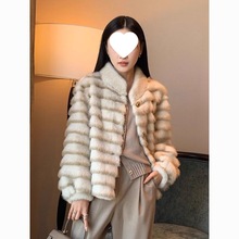 2025ﶬ¿ˮëqƤŮЌI̿