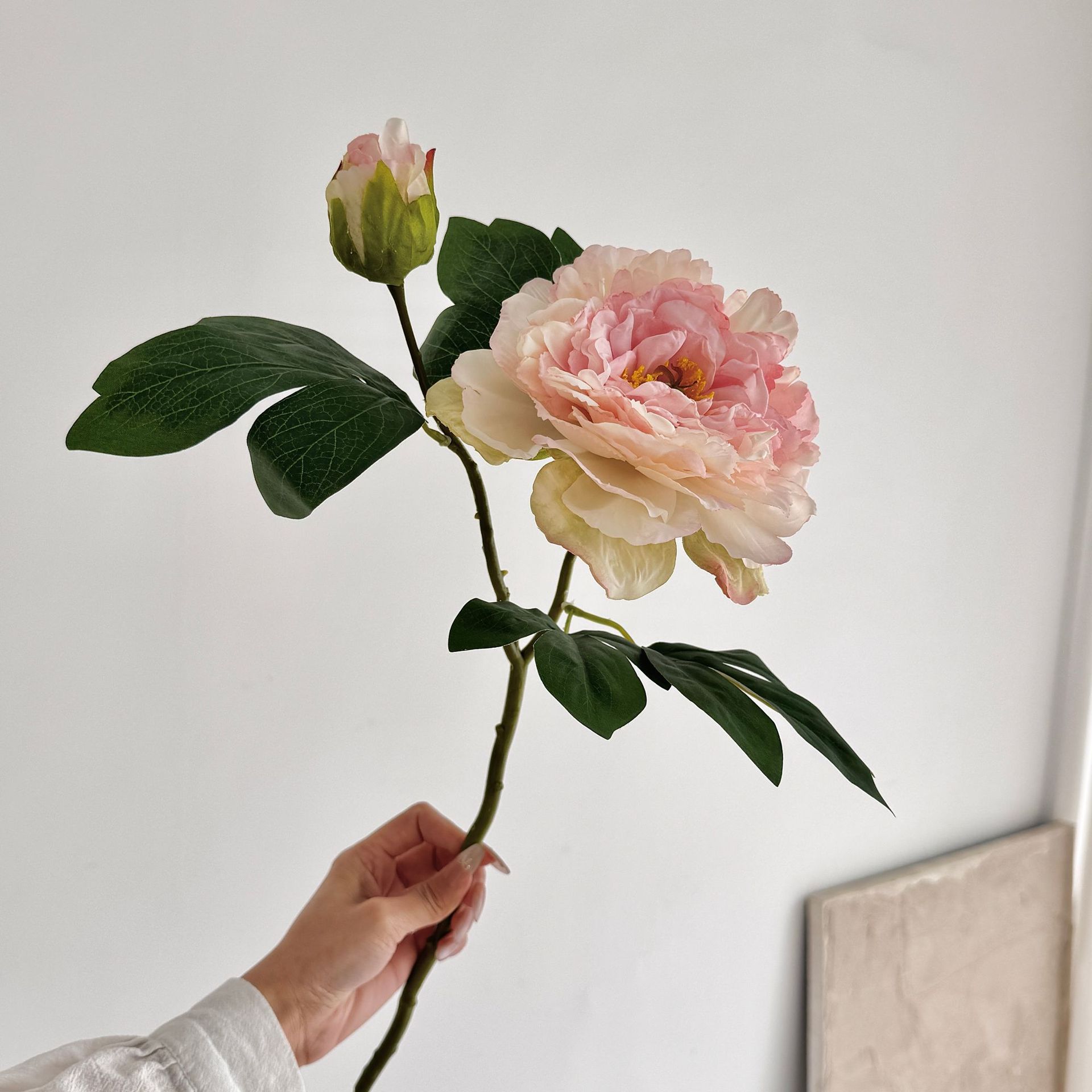 Advancado de alta calidad, peonía, peonía, flor artificial, decoración de flores falsas, mesa de comedor de la sala de estar, ramo de flores secas, decoración de flores
