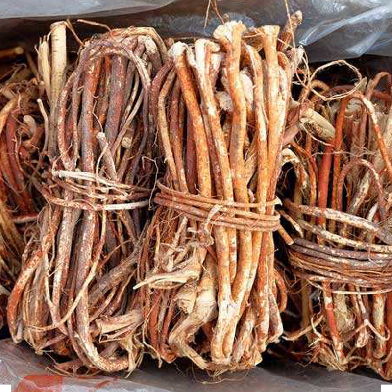 野山五指毛桃根土茯苓煲汤料包短段中段新鲜干货五爪龙真货好