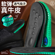 ��ʿƤЬ����Ь�|����͸��Ƥ�����g�����p�����mܛ�����_�\��Ь�|