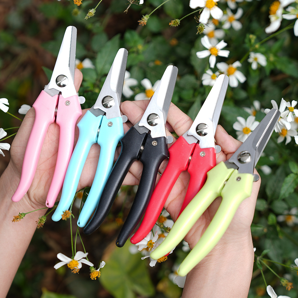 花枝园林花剪园艺剪刀剪枝家用强力剪子修剪树枝果树修枝剪嫁接