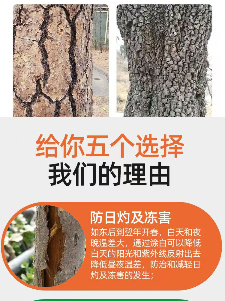 树木涂白剂 防虫防病 含石硫合剂防冻果树 涂白剂 树干涂白剂-阿里巴巴