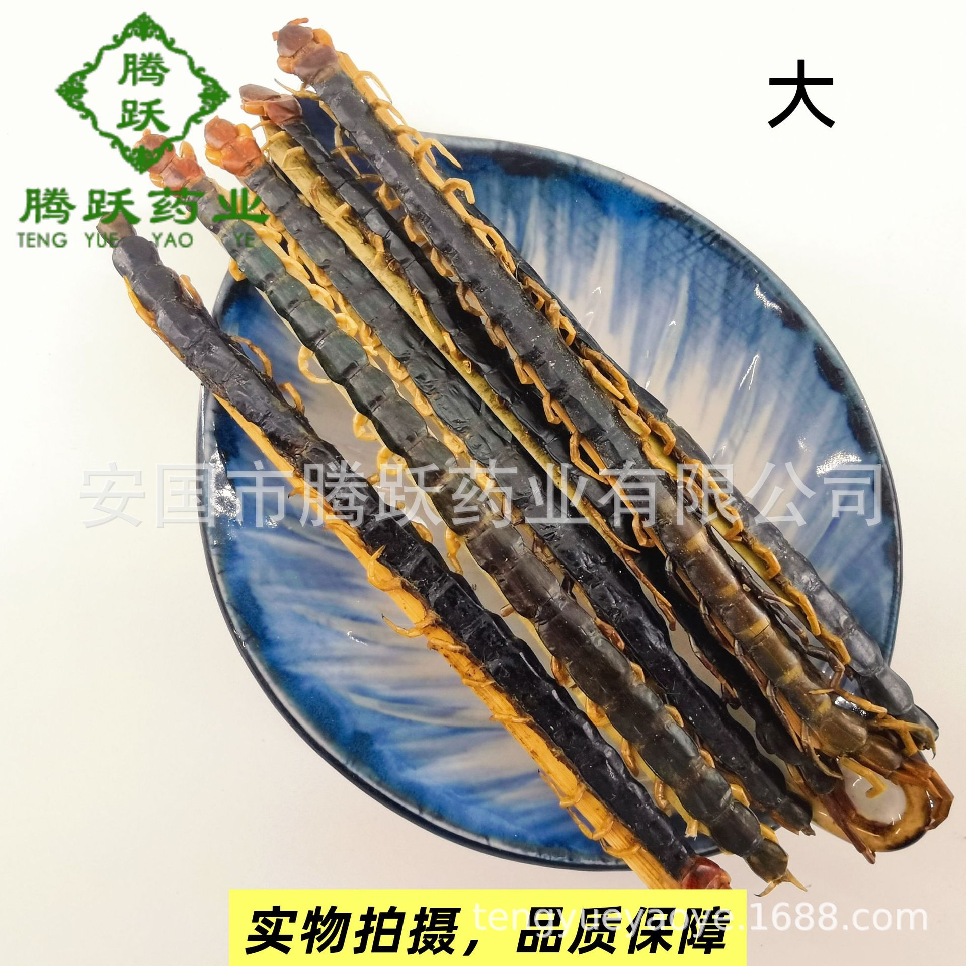 Dried Whole Centipede Wu Gong 500g Chinese Herbal Material Scolopendra Subspinipes Mutilans overview