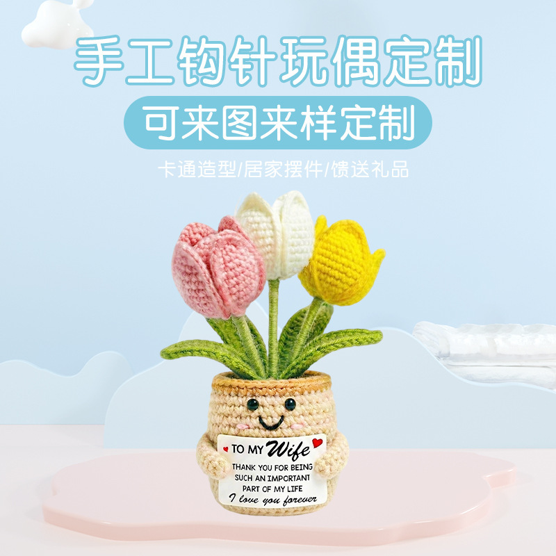 Cross-Border New Handmade Crochet Doll Yarn Knitting Gift Mixed Yarn Cat Tulip Heart Robot Desktop Decoration