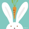 Wow is a rabbit eh