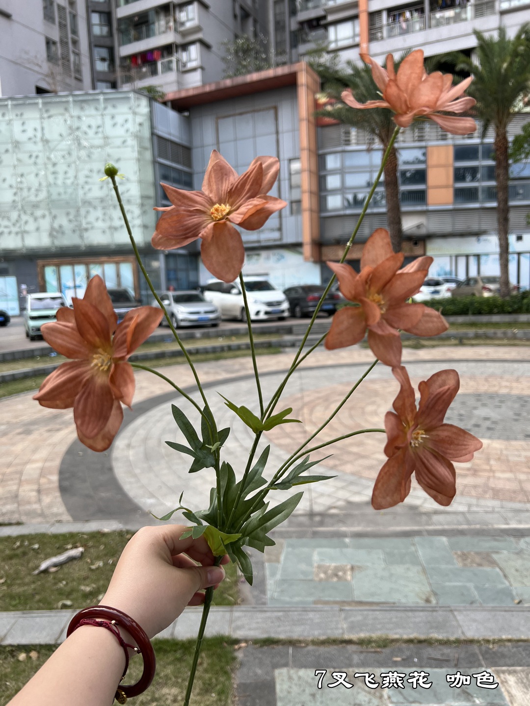 다크 브라운