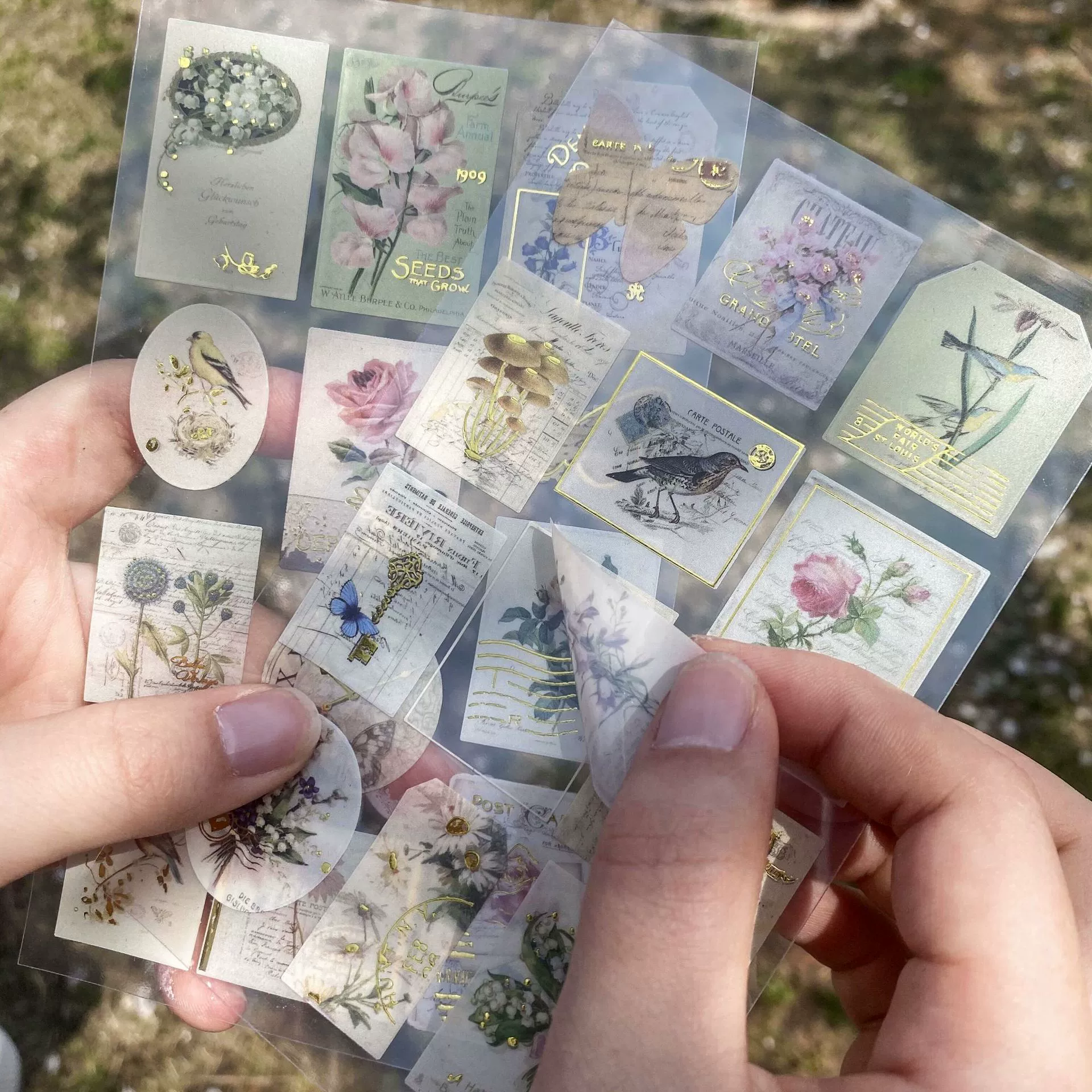 Серия Jinse Nianhua DIY руководство стикер милый ретро горячий - учебный набор наклейка PVC водостойкий материал коллаж оптовая торговля