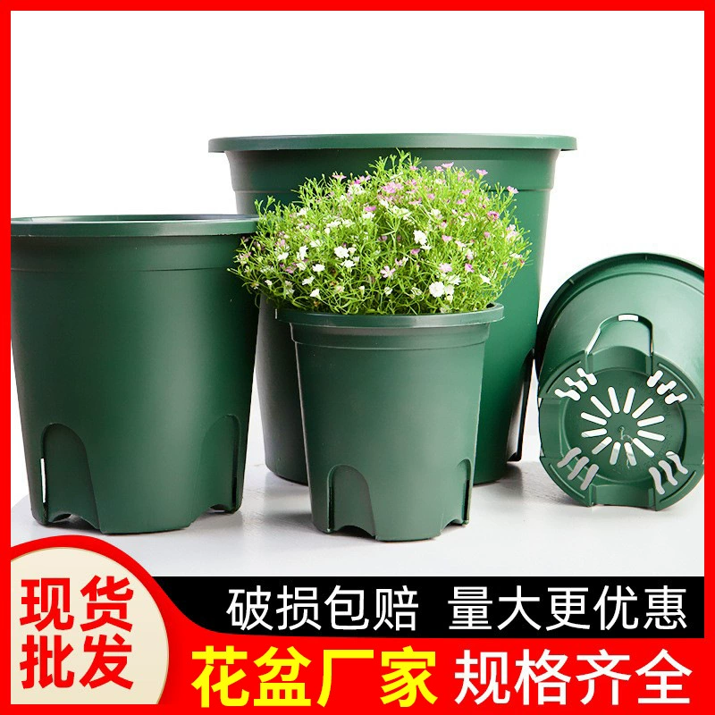 Галлонный бассейн Смола корень контроль бассейна балкон Овощной горшок растение Роза мясистый творческий пластиковый цветочный горшок оптом
