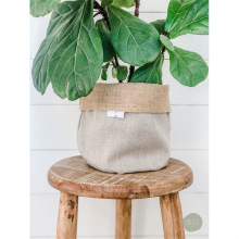 ���l���鲼����� ����ֲ�ﻨ�豣�o�� �Ҿ��҃����Է�ˮ�����״�