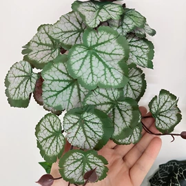 仿真绿植;仿真花;仿真果蔬