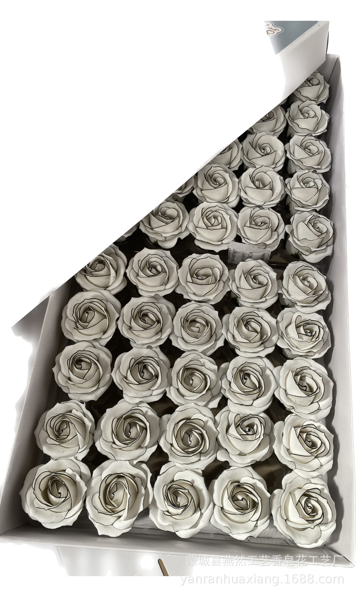 CC5AFE7317F32275E40A2D55476B22