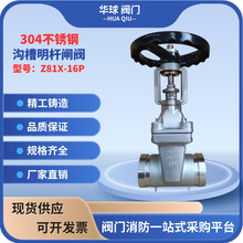 �Ϻ����� �Ϻ��_�Sϲ304���P䓜ϲ����Uܛ�ܷ��l�yZ81X-16P