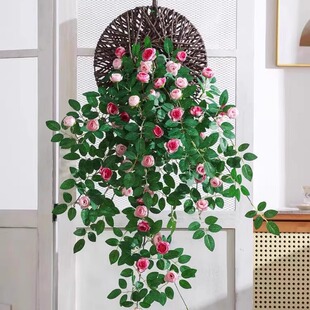 ���õ�廨�ٱڒ������ٻ����ٗl�b������ϻ��������m���w��