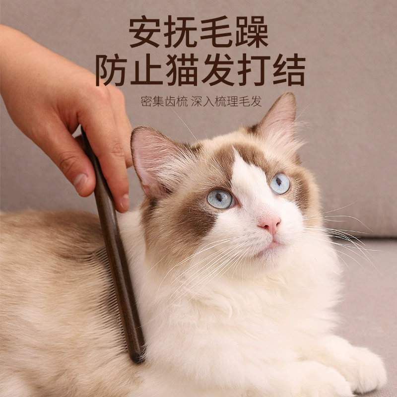 Расческа для кошек Специальная расческа-щетка для гребня Длинные волосы Открытый узел Плавающие волосы Артефакт Зуб Короткие волосы Расческа для собак