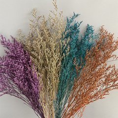 Perennial Love Grass Dried Flowers, Forest Style Real Flower Bouquet, Home Decor Flower Art Floral Arrangement Material, DIY Craft Supplies