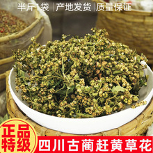 ҰɽҰĴAsSݻٸS~Boˮ؛