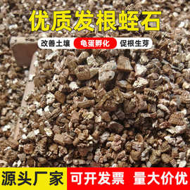 金黄蛭石颗粒整袋3-6mm扦插营养土养花育苗龟蛇孵化保温园艺蛭石
