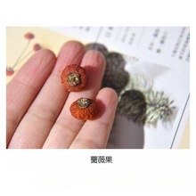 ֲhȻɹϹDIYςԄСֱN