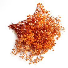 MminiɻС˲ݻcػYŷb