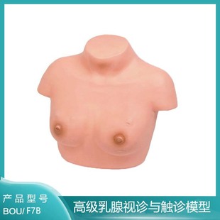 Advanced Breast Auscultation and Palpation Model