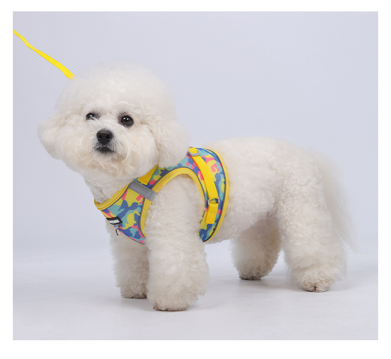 Tarnfarbene, reflektierende, atmungsaktive Hundeleine, Katzenleine, Welpen-Brustgeschirr für Bichon Frisés_voghion.com