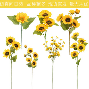 �羳���滨���տ����ʽ����̫ꖻ��҃ȾƵ����ԼҾ��b[��