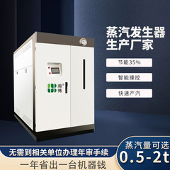 全自動ガス蒸気発生器洗浄アイロン醸造0.3-1トン凝縮低窒素蒸気ボイラー