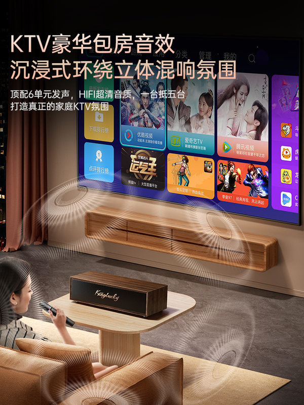 Spot Jinyun Bluetooth Speaker Home Ktv Audio Set 2025 New Karaoke Amplifier Home Karaoke One