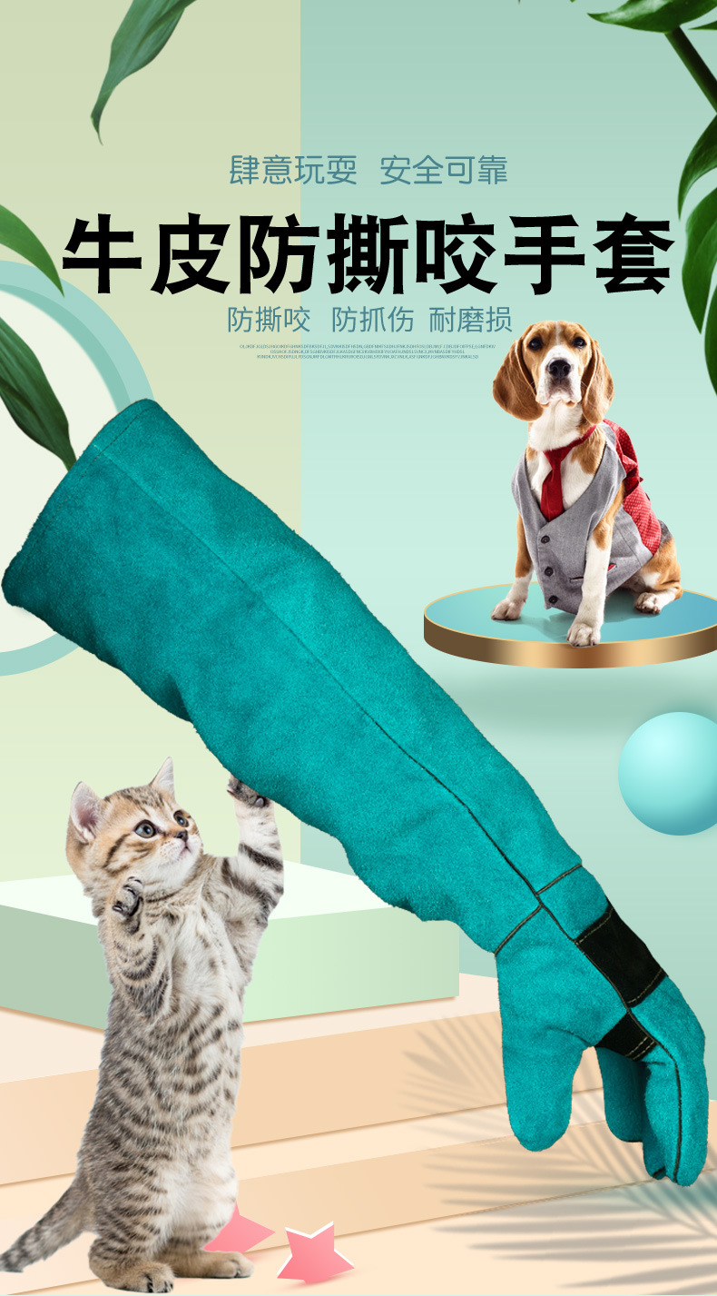 其他2皮-1_01.jpg