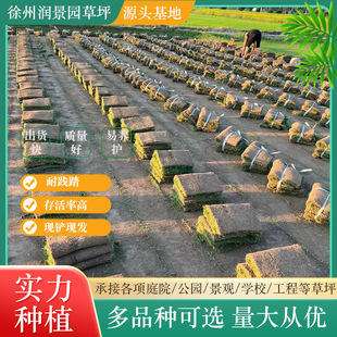 ���X�ݎ������ļ���G���������ݲ�Ƥ��ƺͥԺ�e���G��ֲ�����ƺ