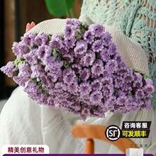 �ֹ�����õ�廨��̺�ӳ�Ʒᘿ���˯�w̺������Ϧ��Ů���̎����Y��
