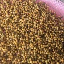 羳؛șSNu^S໨ϻuצצӅS