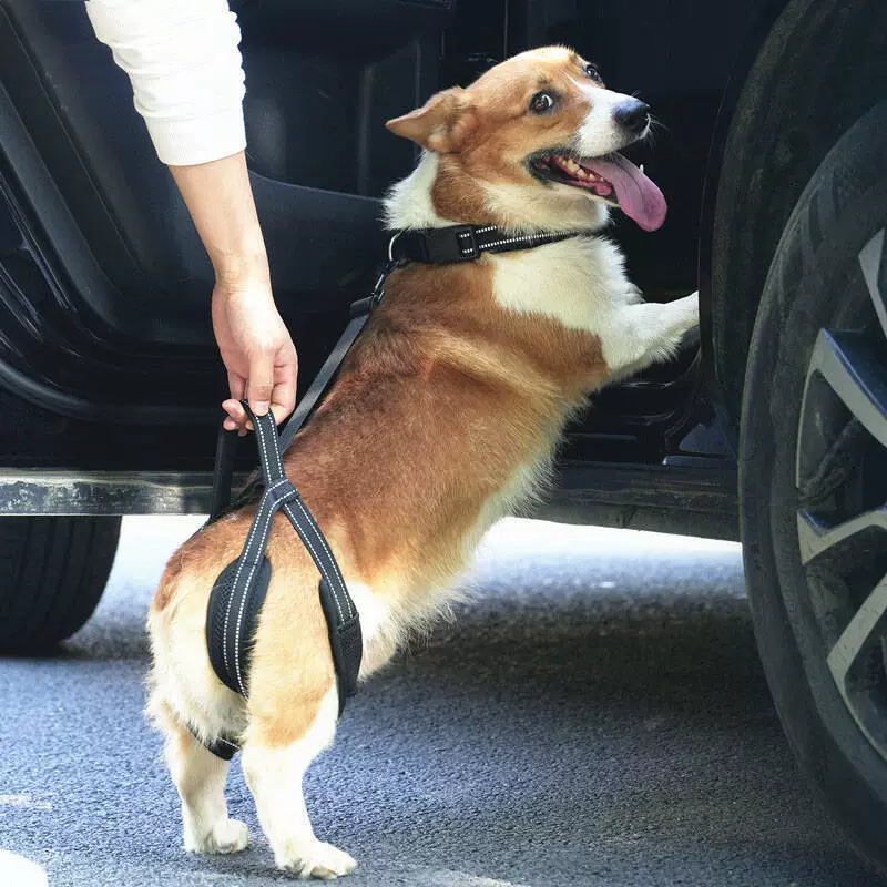 Новые товары для средних и крупных собак, больных собак, пожилых собак, вспомогательные принадлежности, товары для домашних животных, вспомогательные ремни для задних лап собак.