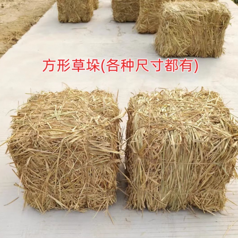 Straw stack haystacks dry farmhouse decorate dry rice -shaped cyterscase shooting propskin stack stool Amazon Amazon