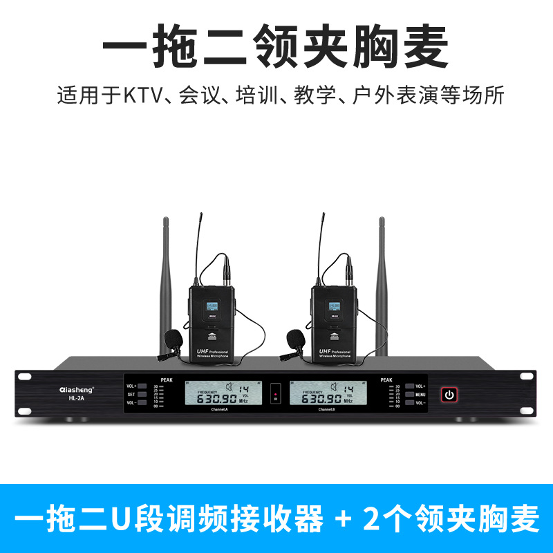 Micrófono inalámbrico TMD/Tengmandi de doble canal FM U-band Bluetooth para cantar, conferencias, KTV, verdadera diversidad